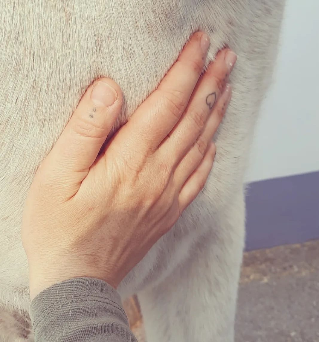 HeartHugHorse